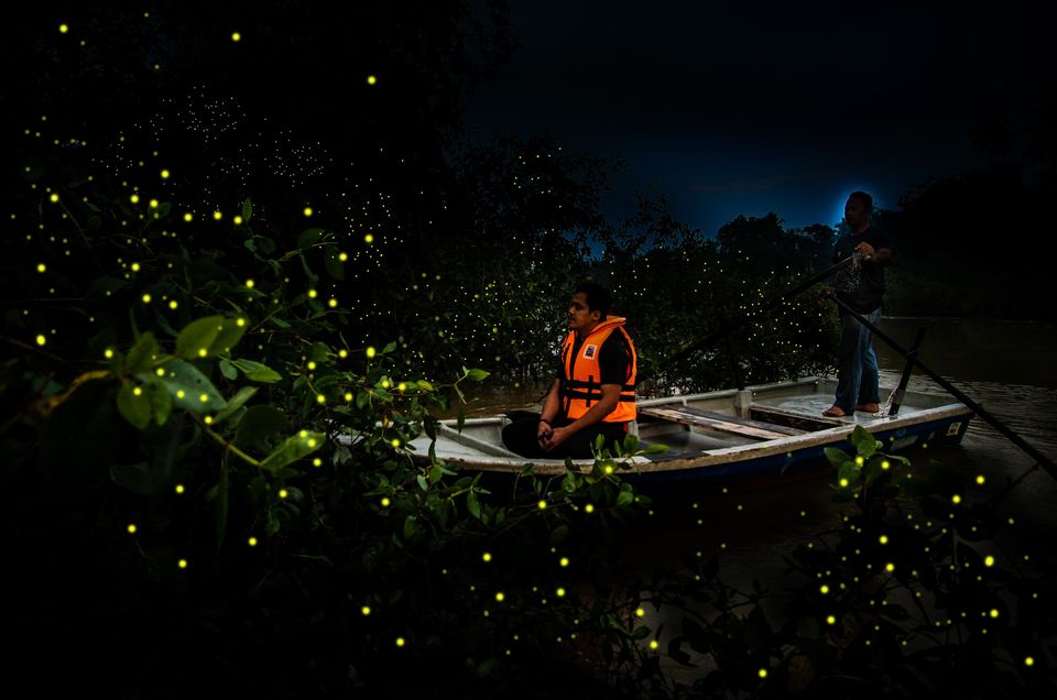 Photo of Beyond Kuala Lumpur: Places You Won't See Elsewhere in Asia! 9/30 by Pooja Khandelwal