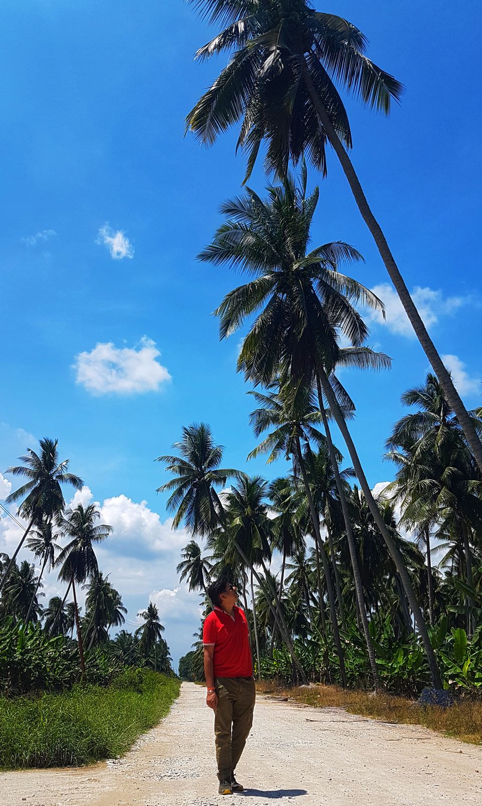 Photo of Beyond Kuala Lumpur: Places You Won't See Elsewhere in Asia! 16/30 by Pooja Khandelwal