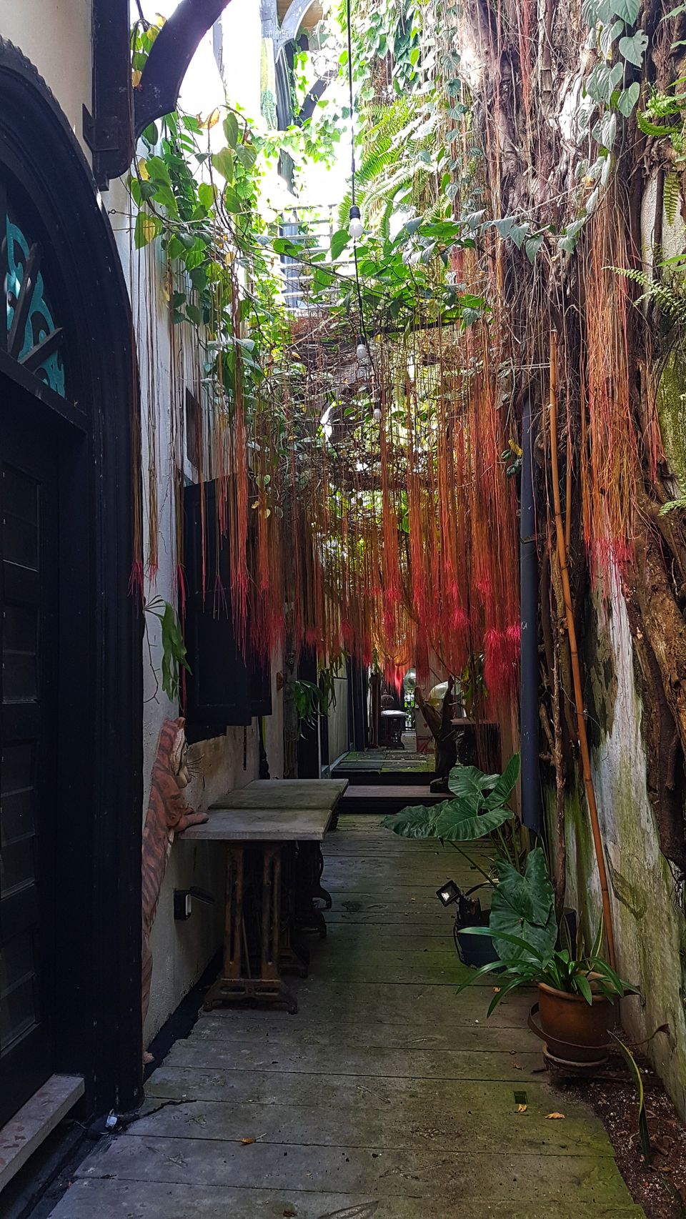 Photo of This Town in Malaysia is a Photographer's Paradise! 16/30 by Pooja Khandelwal