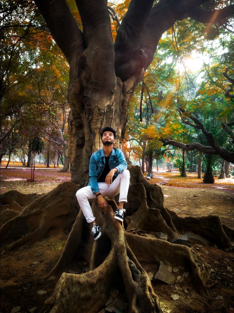 Photo of Cubbon Park, Shivaji Nagar, Bengaluru, Karnataka by Rahul Paudel