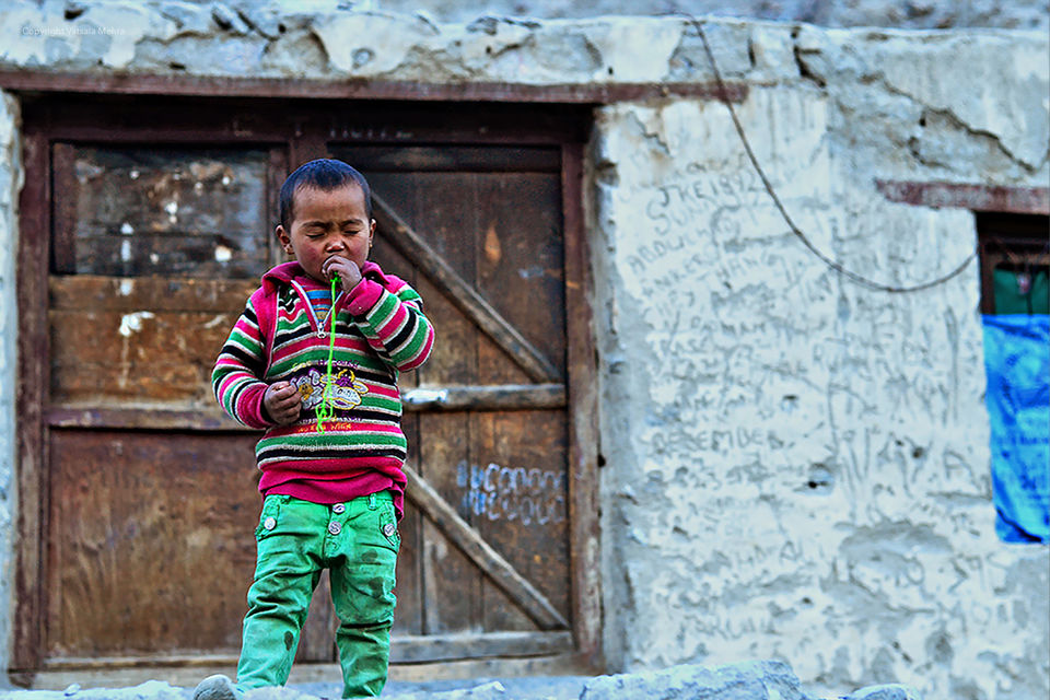 Photo of Ladakh : Land of Highest Passes by Vatsala Mehra