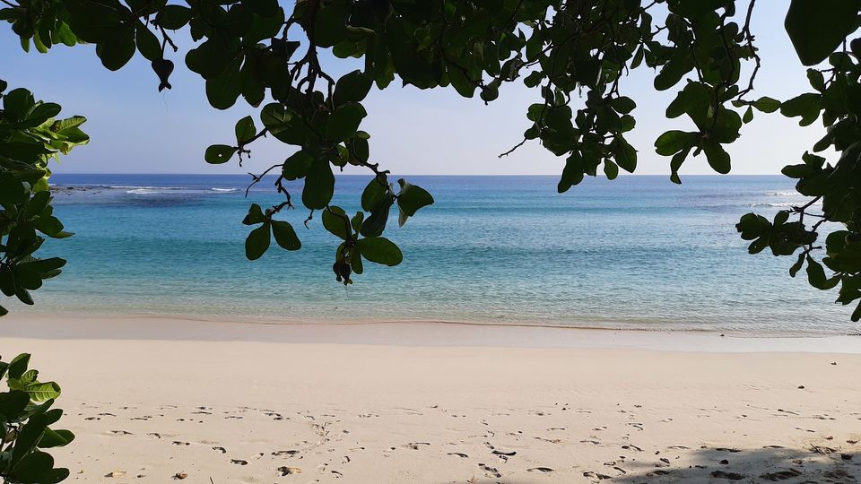 Photo of Emerald Isles Trip Report (Part 2) - Havelock and Neil Islands 3/12 by Outdoers Adventure Travels LLP