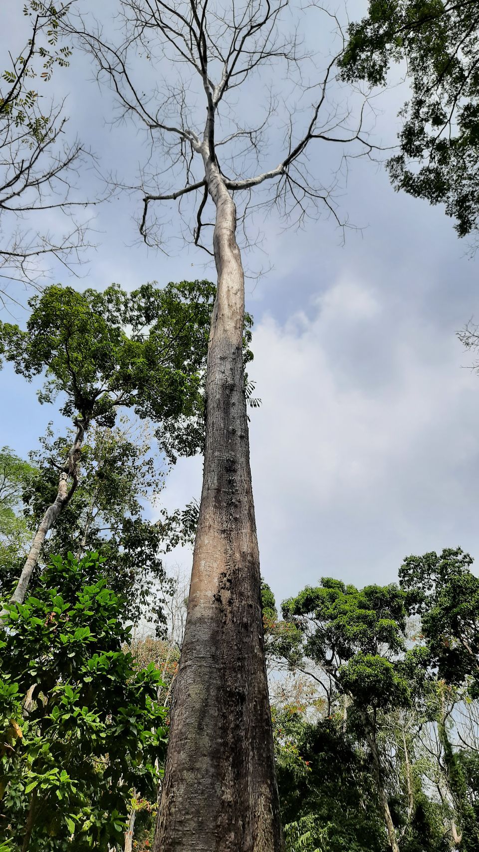 Photo of Emerald Isles Trip Report (Part 2) - Havelock and Neil Islands 7/12 by Outdoers Adventure Travels LLP