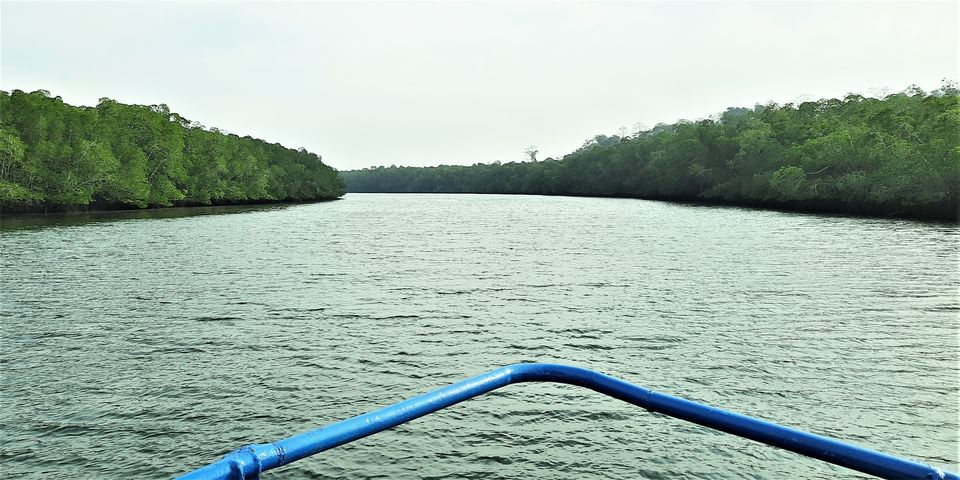 Photo of Emerald Isles Trip Report (Part 3) - Middle Andamans 6/17 by Outdoers Adventure Travels LLP