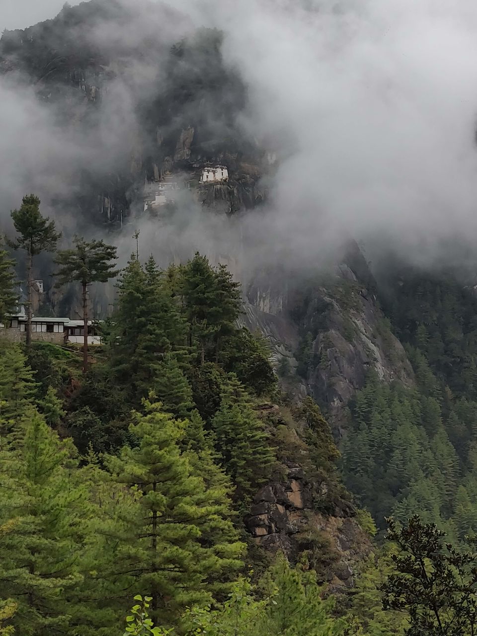 Photo of Tiger’s Nest, Taktsang Trail, Bhutan by Shraddha Subramanian