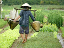 Photo of VIETNAM TOUR FROM NORTH, CENTRAL TO SOUTH 10 DAYS 9 NIGHTS 23/32 by Go Asia Travel