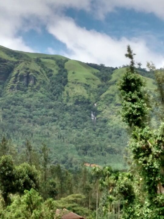 Photo of Chikmagalur - A place of scenic beauty! 11/20 by Anish Athreyas