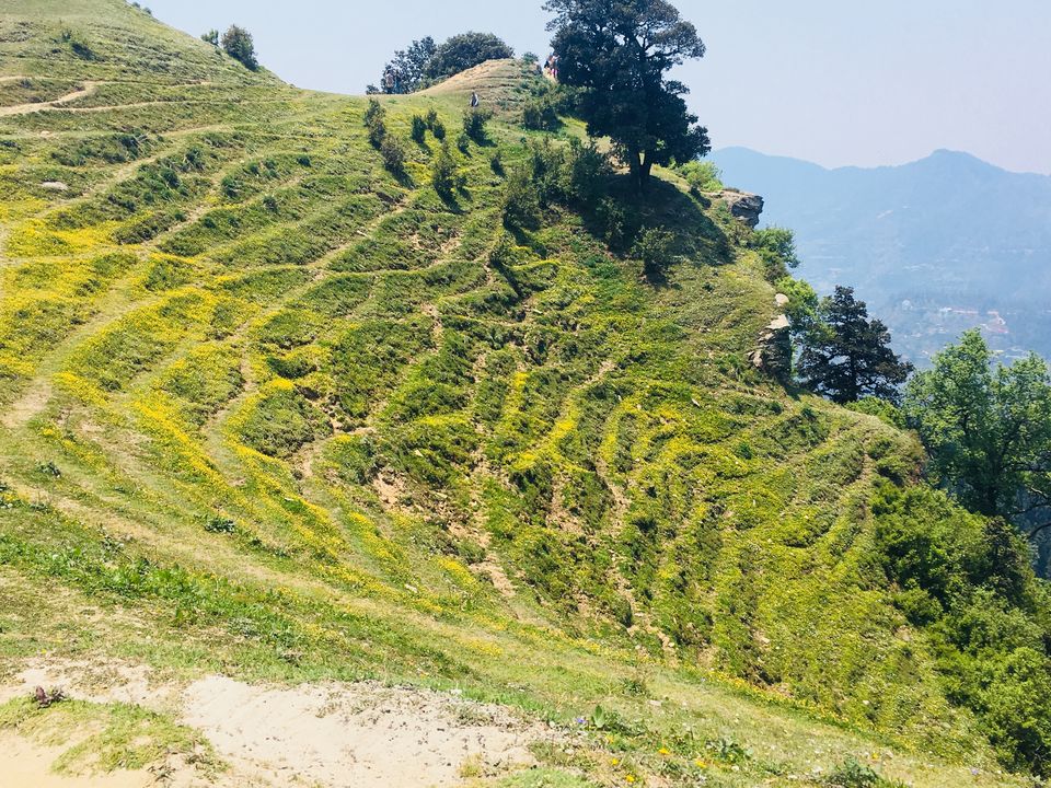 Photo of A Rendezvous with the Land of Pandavas | Narkanda - Hatu Peak by kamelia majumdar