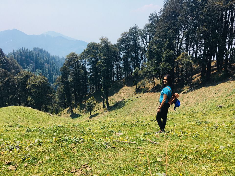 Photo of Hatu Peak, Himachal Pradesh by kamelia majumdar