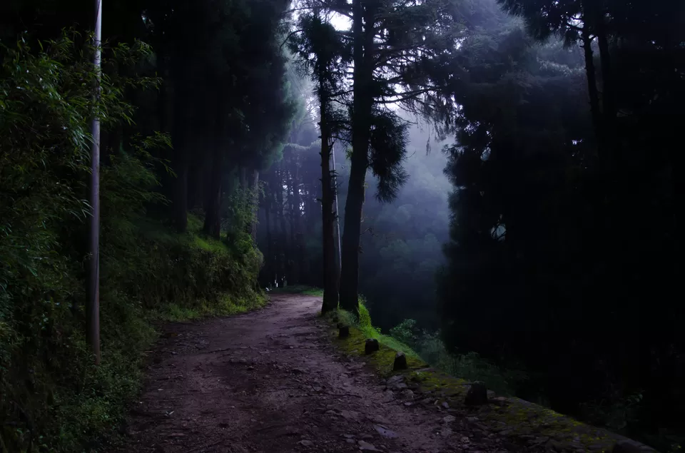 Photo of Dhotrey, West Bengal, India by Santanu Das