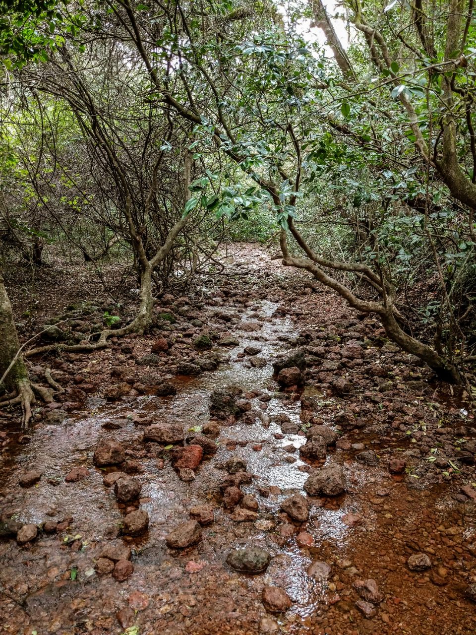 Photo of Long Weekend Getaway - Part 2 by Rachel D'cruz