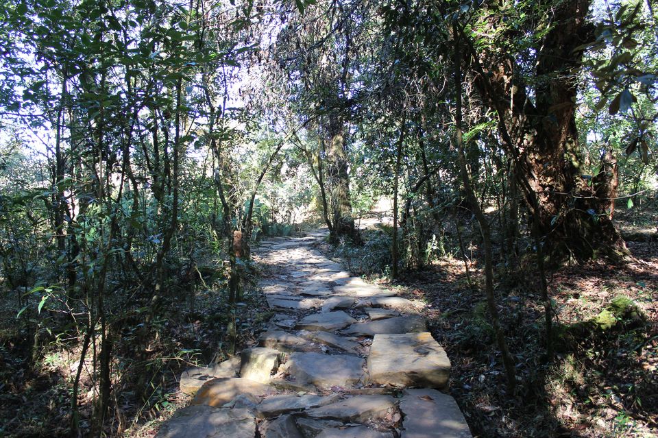 Photo of Trip to Meghalaya During Christmas - An offbeat Experience 1/7 by Pranav Kabra