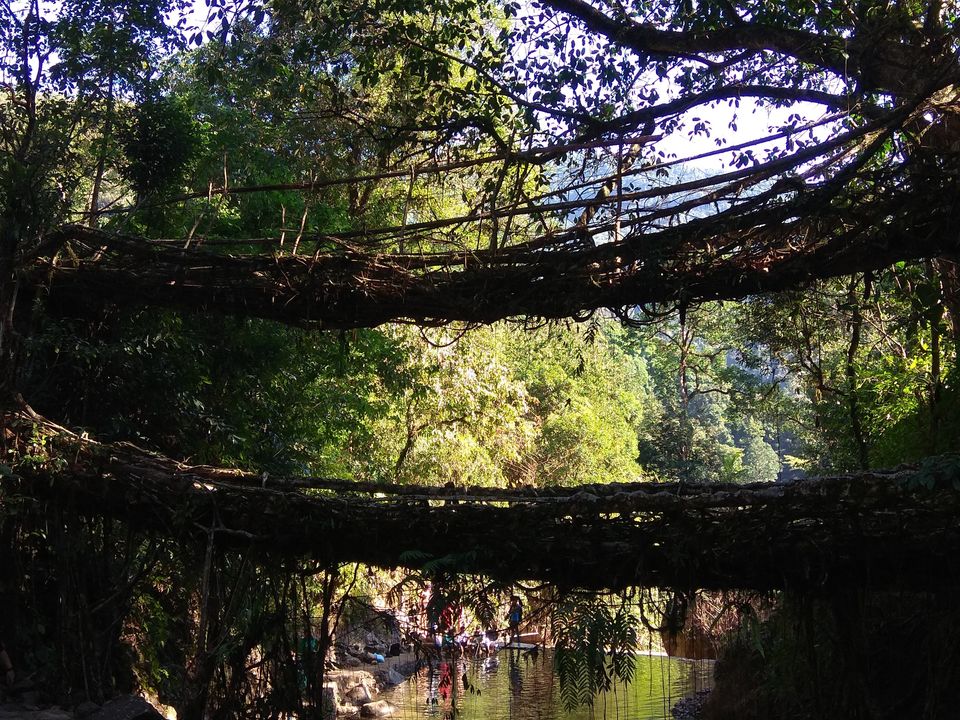 Photo of Trip to Meghalaya During Christmas - An offbeat Experience 4/7 by Pranav Kabra
