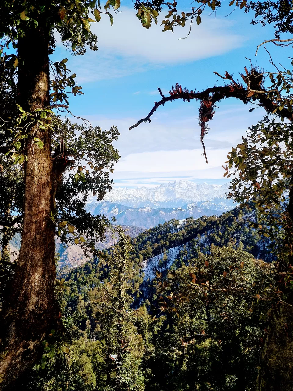 Photo of Nag Tibba Trek, Nainbag, Uttarakhand, India by Sumit Sourav