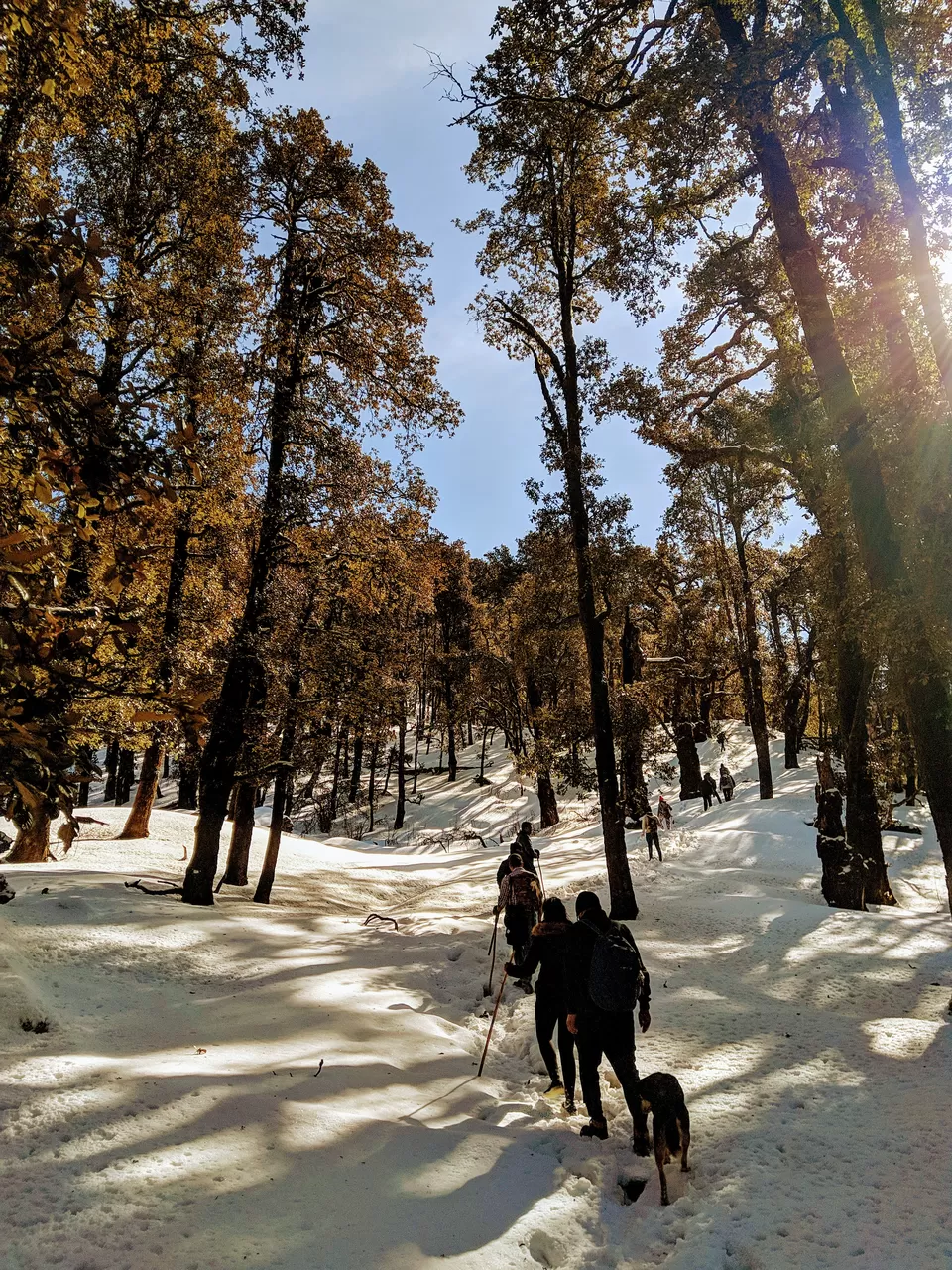 Photo of Nag Tibba Trek, Nainbag, Uttarakhand, India by Sumit Sourav