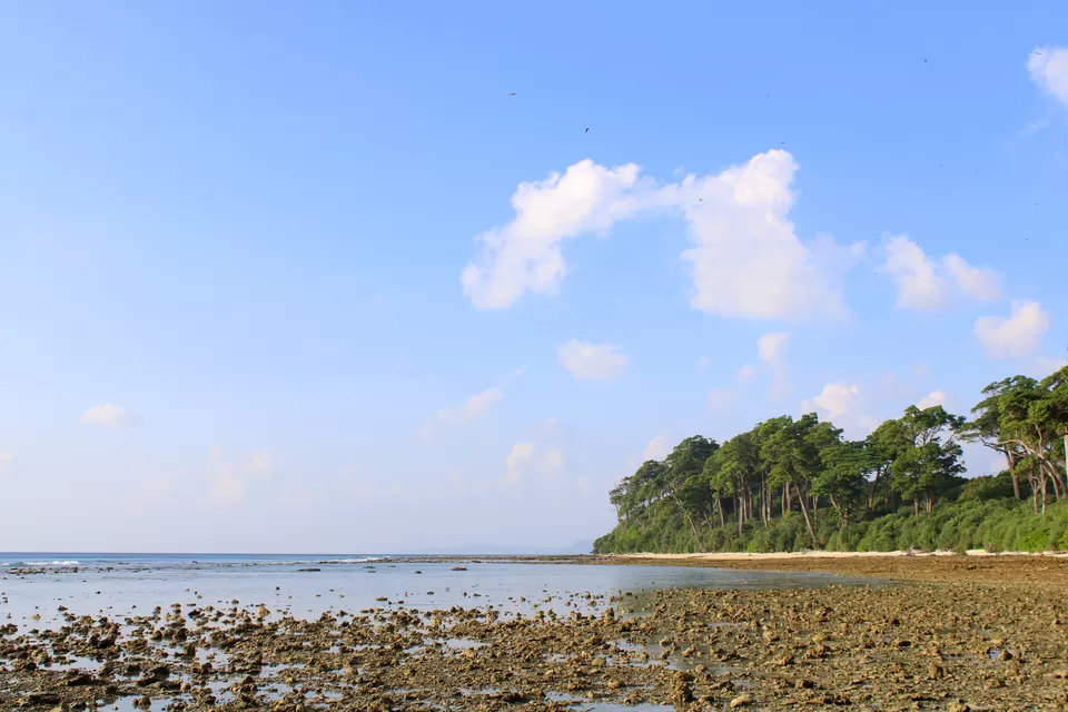 Photo of Laxmanpur Beach, Village Road, Lakshmanpur, Andaman and Nicobar Islands, India by Atreyee Wandering