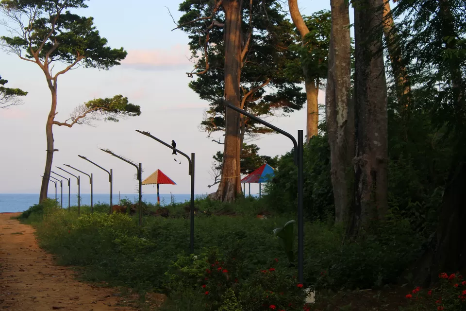 Photo of THE ULTIMATE NEIL ISLAND TRAVEL GUIDE by Atreyee Wandering