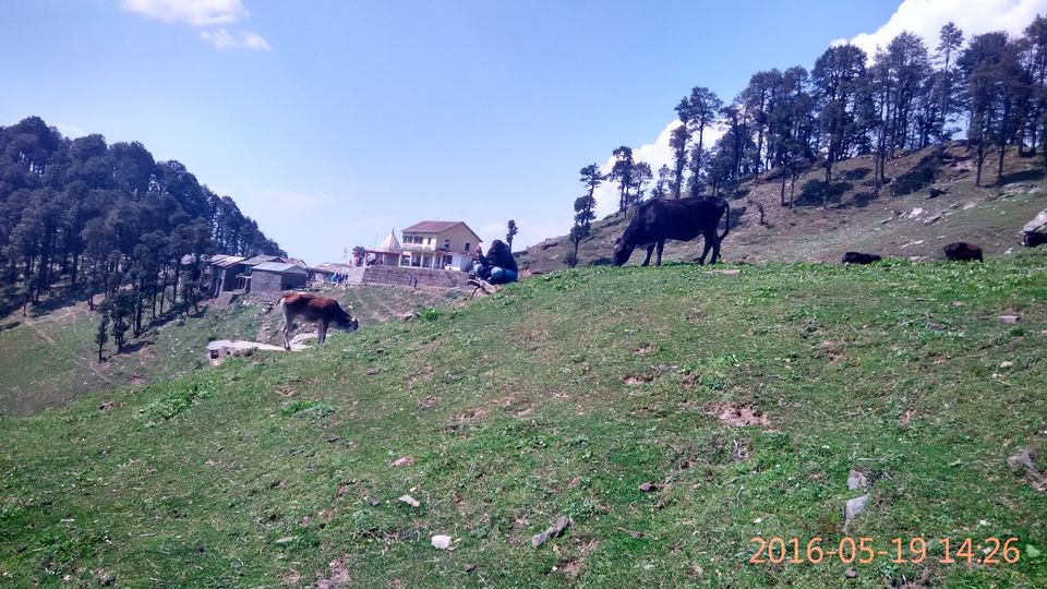 Photo of Serolsar Lake, Sajwar, Himachal Pradesh, India by TROUT ADVENTURE