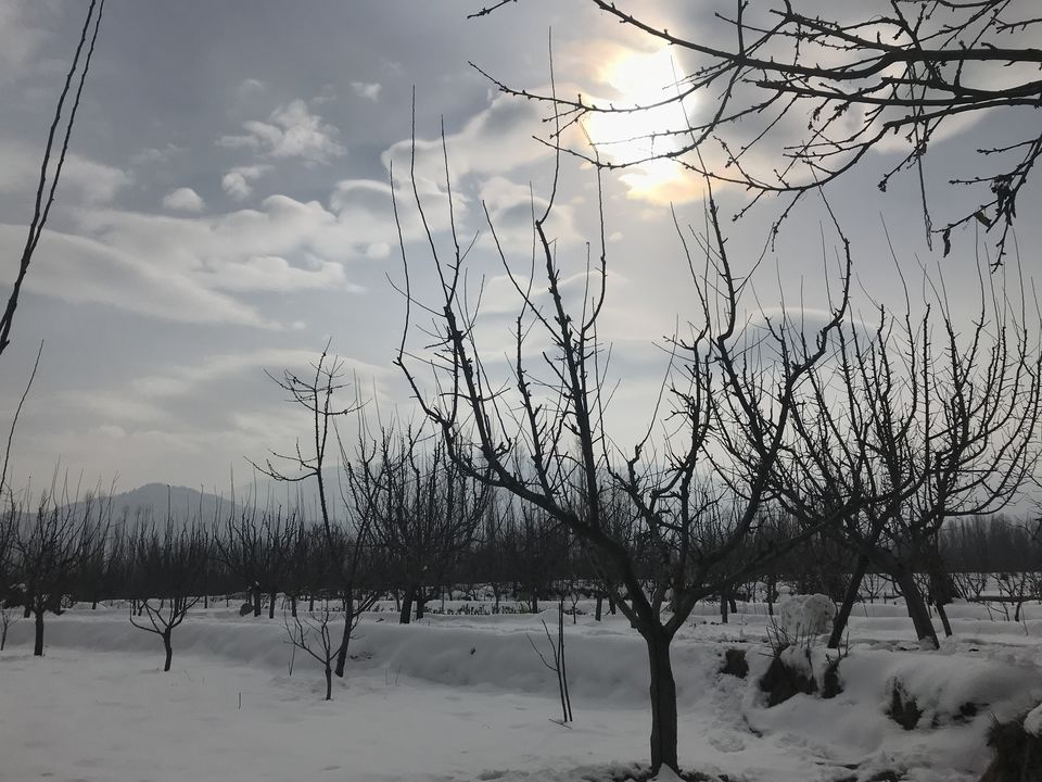 Photo of Snowstoked In Gulmarg 7/11 by Sabah Saeed