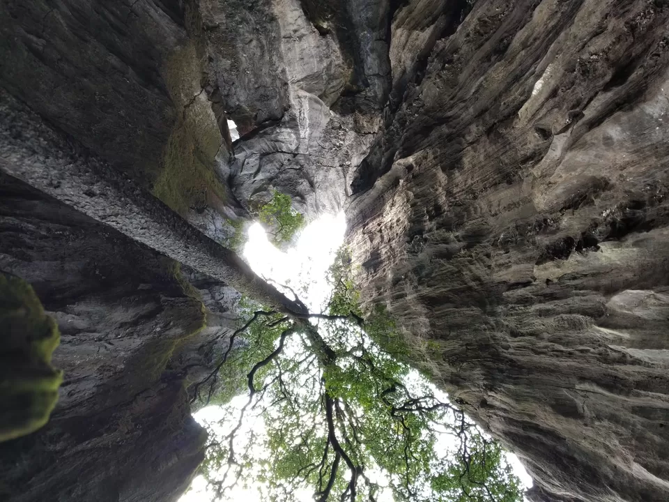 Photo of Yana Rocks, Yana, Karnataka, India by Nirupam Kulkarni