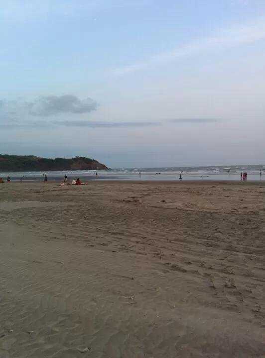 Photo of Morjim, Goa by Conroy Vaz