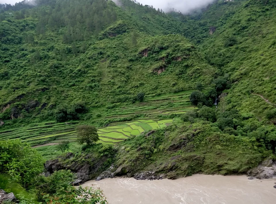 Photo of Valley of Flowers : My First Solo Road Trip (DAY 1) by Nishesh Singhal