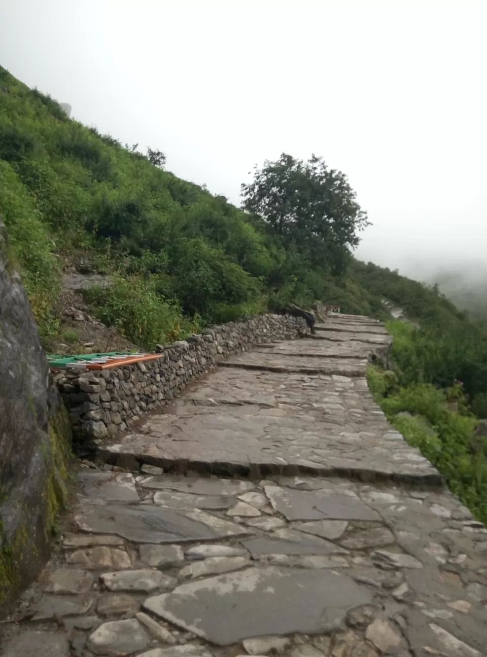 Photo of Ghangaria, Chamoli, Uttarakhand, India by Nishesh Singhal