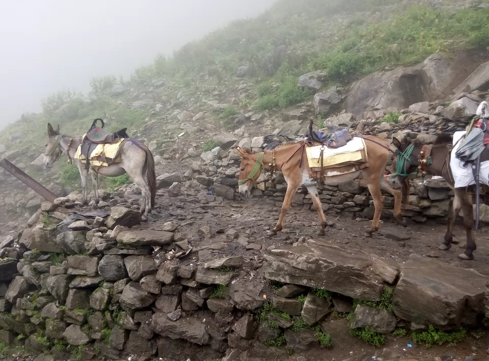 Photo of Ghangaria, Chamoli, Uttarakhand, India by Nishesh Singhal