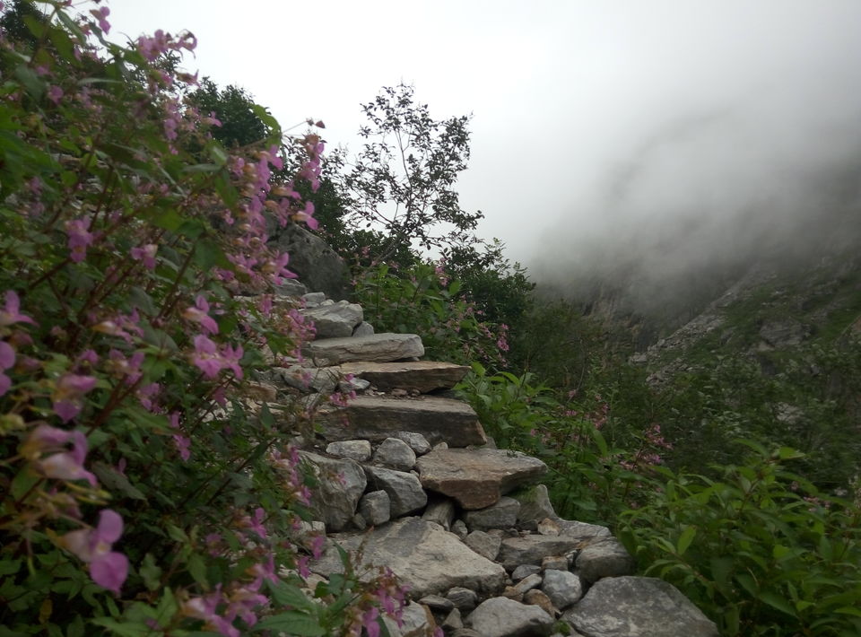 Photo of Trek To Valley Of Flowers and 270 Kms Ride Back to Rishikesh (Day 3 & Day 4) by Nishesh Singhal