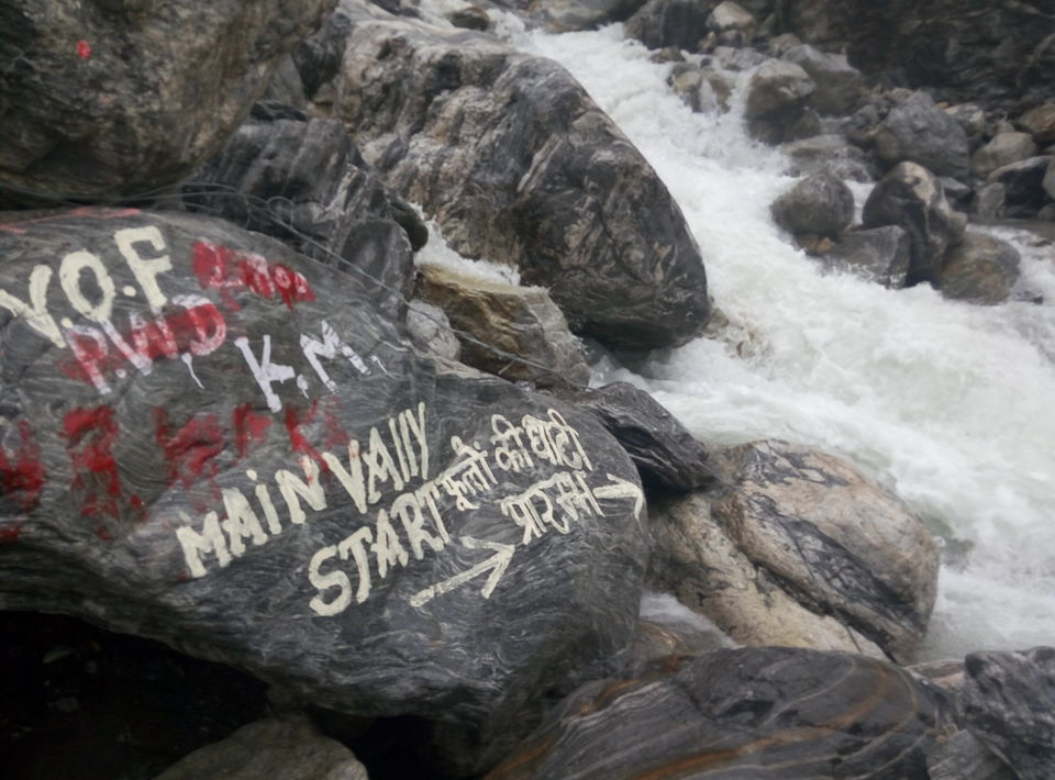 Photo of Trek To Valley Of Flowers and 270 Kms Ride Back to Rishikesh (Day 3 & Day 4) by Nishesh Singhal