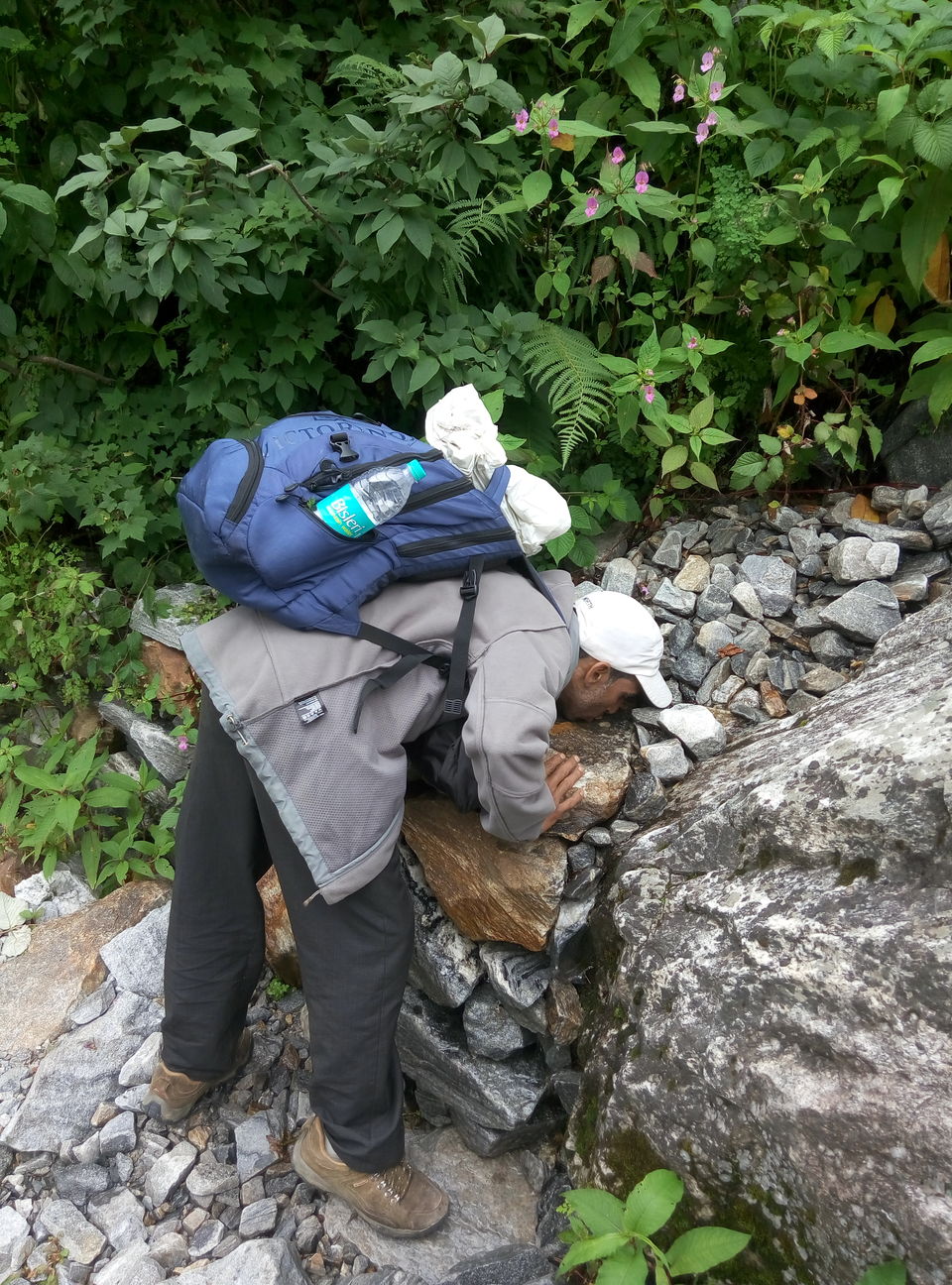 Photo of Trek To Valley Of Flowers and 270 Kms Ride Back to Rishikesh (Day 3 & Day 4) by Nishesh Singhal