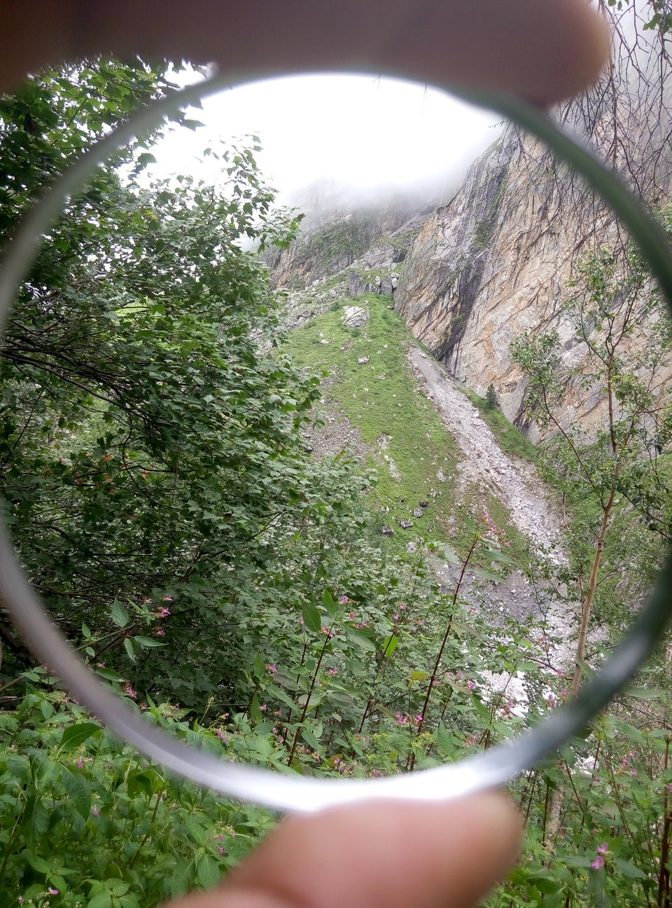 Photo of Trek To Valley Of Flowers and 270 Kms Ride Back to Rishikesh (Day 3 & Day 4) by Nishesh Singhal