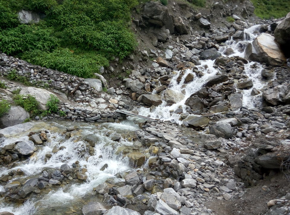 Photo of Trek To Valley Of Flowers and 270 Kms Ride Back to Rishikesh (Day 3 & Day 4) by Nishesh Singhal