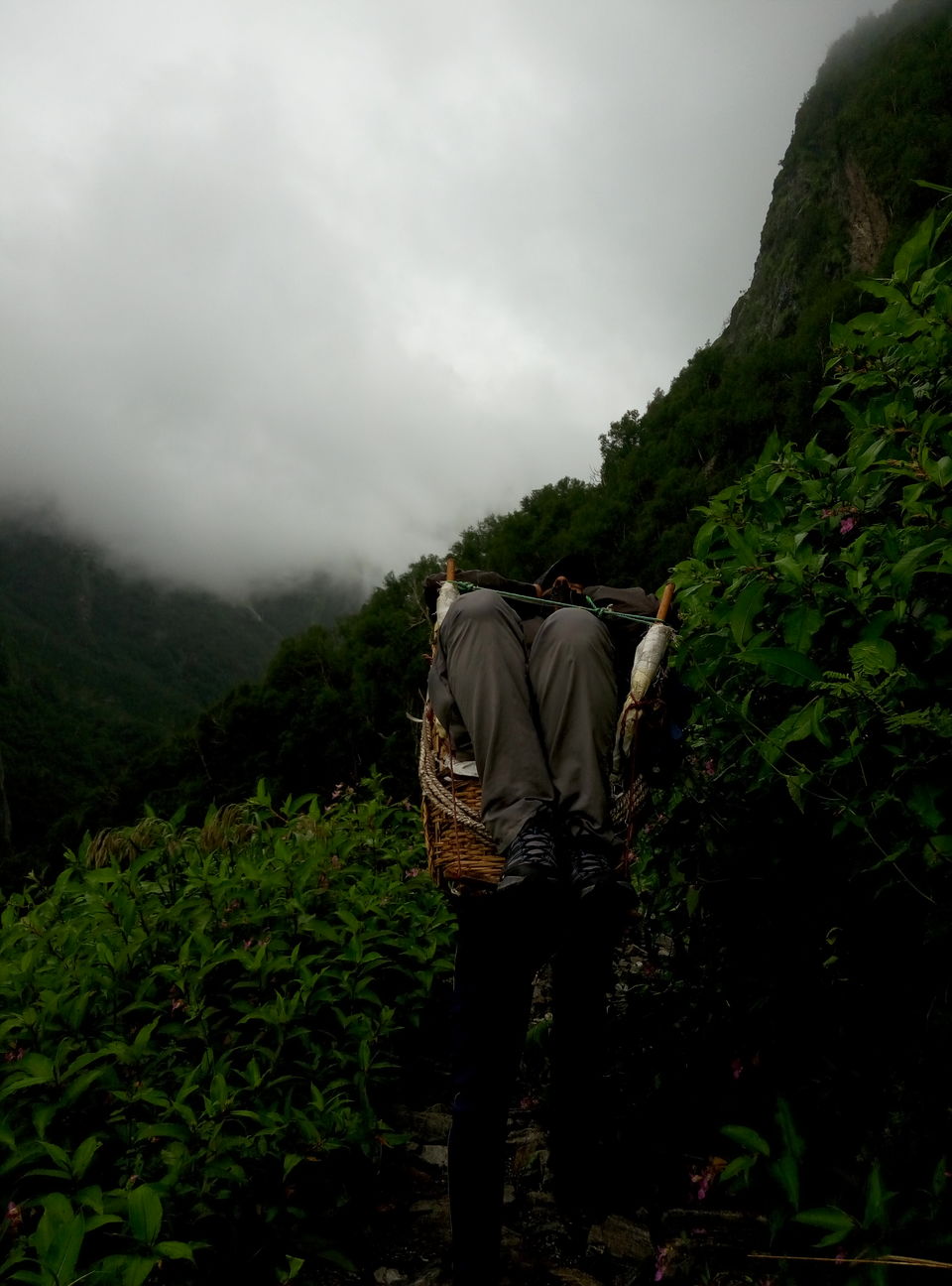 Photo of Trek To Valley Of Flowers and 270 Kms Ride Back to Rishikesh (Day 3 & Day 4) by Nishesh Singhal