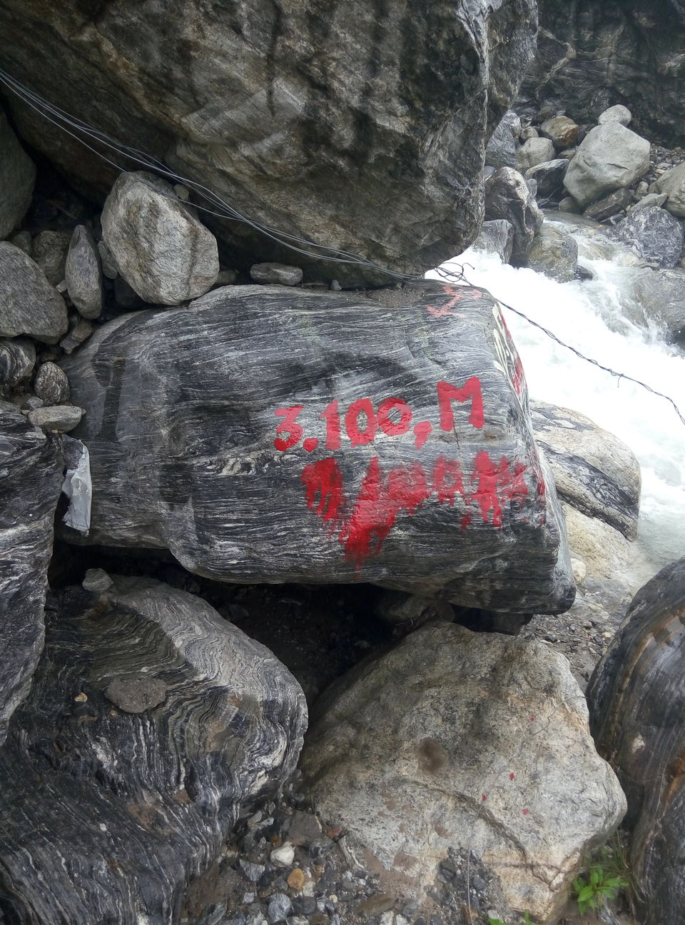Photo of Trek To Valley Of Flowers and 270 Kms Ride Back to Rishikesh (Day 3 & Day 4) by Nishesh Singhal