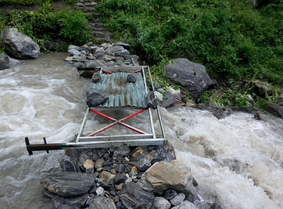 Photo of Trek To Valley Of Flowers and 270 Kms Ride Back to Rishikesh (Day 3 & Day 4) by Nishesh Singhal