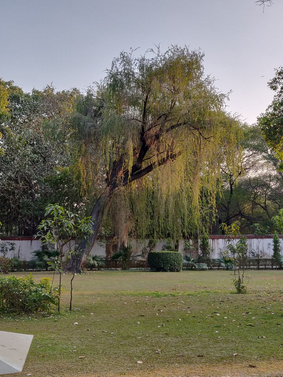 Photo of Saheliyon Ki Badi, Saheli Marg, New Fatehpura, Panchwati, Udaipur, Rajasthan, India by Anonymous