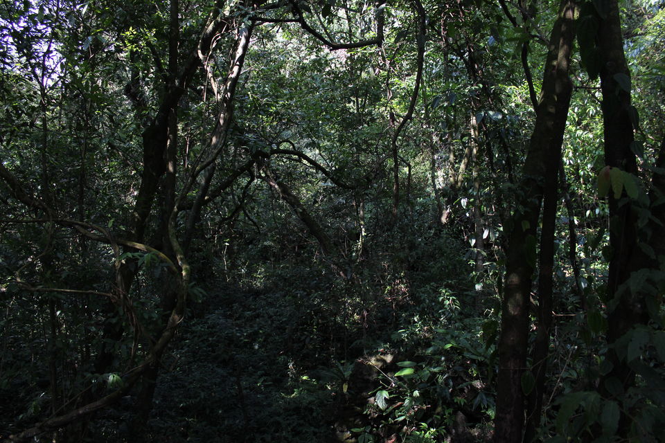 Photo of भारत के उत्तर पूर्व की ओर : एक ट्रिप दिल के करीब 8/48 by लफंगा परिंदा