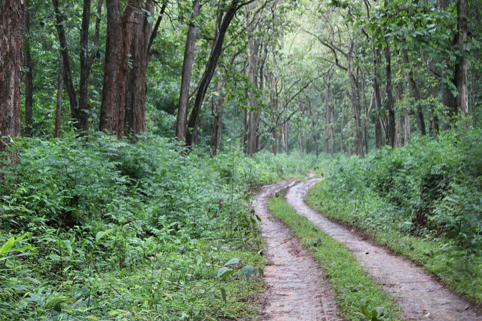 Photo of कर्नाटक के तटीय इलाक़ों की सड़क यात्रा : बीच, झरनों और बॅकवॉटर्स की एक अनोखी दास्तान 3/10 by लफंगा परिंदा