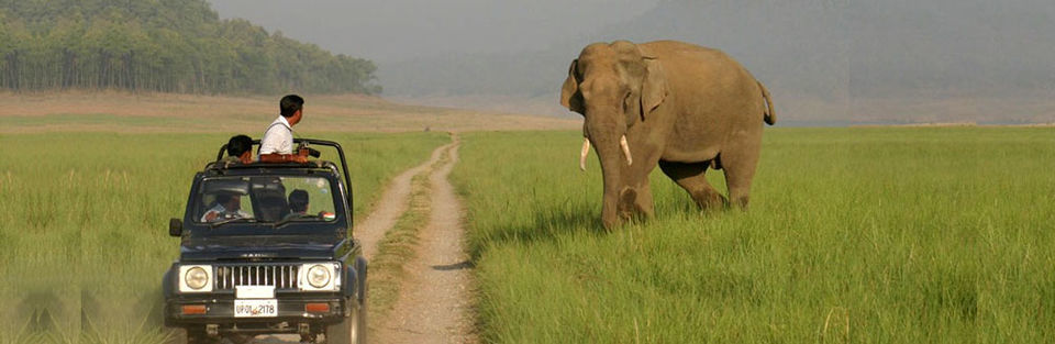 Photo of कॉर्बेट : कुदरत का असली रूप 4/5 by लफंगा परिंदा
