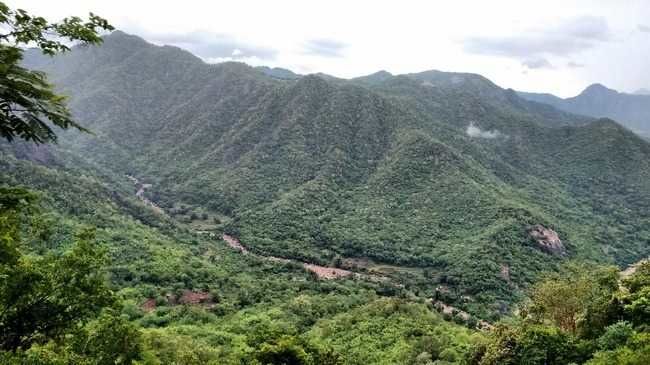 Photo of अराकू घाटी की यात्रा : प्रकृति की गोद मे कुछ दिन 9/16 by लफंगा परिंदा