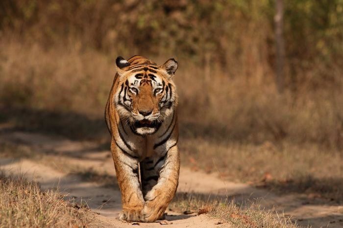 Photo of खुद को 'सच्चा मुसाफिर' कहने से पहले भारत की इन 8 जगहों के बारे में तो जान लो! 10/16 by सिद्धार्थ सोनी Siddharth Soni