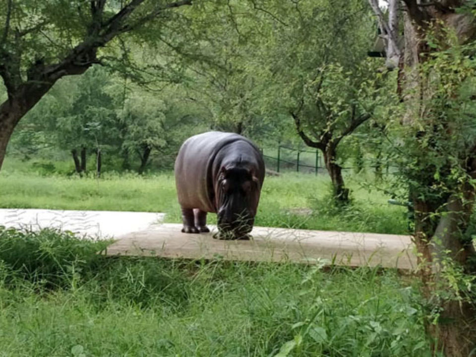 Photo of (ट्रैकिंग स्पेशल) जयपुर आने का प्लान है तो आ जाओ, मौसम बढ़िया है 3/5 by सिद्धार्थ सोनी Siddharth Soni