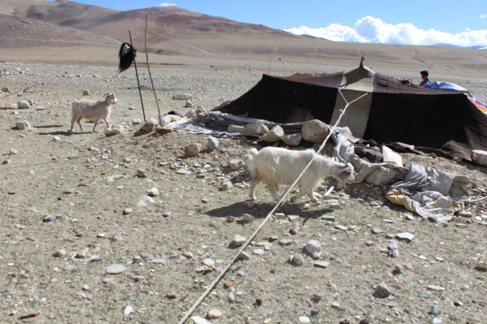 Photo of The Odyssey Of Ladakh 22/27 by Manmitha Deepthi