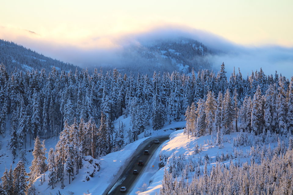 Photo of Mount Washington Alpine Resort, Comox-Strathcona C, BC, Canada by Manmitha Deepthi