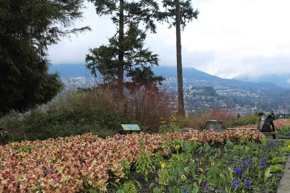 Photo of Lions Gate Bridge, Vancouver, BC, Canada by Manmitha Deepthi