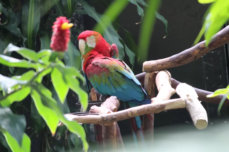 Photo of Lions Gate Bridge, Vancouver, BC, Canada by Manmitha Deepthi