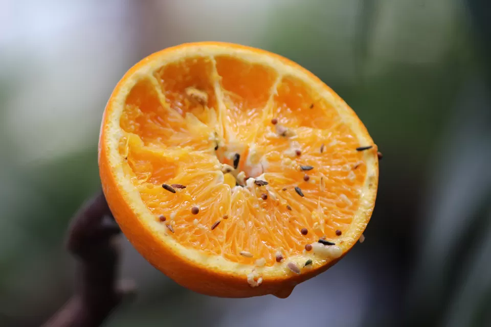 Photo of Lions Gate Bridge, Vancouver, BC, Canada by Manmitha Deepthi