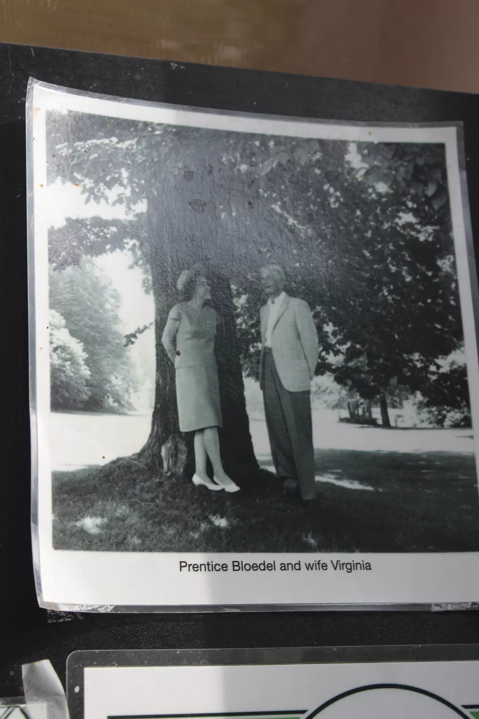 Photo of Lions Gate Bridge, Vancouver, BC, Canada by Manmitha Deepthi
