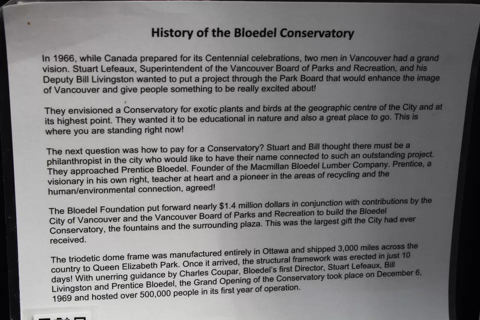 Photo of Lions Gate Bridge, Vancouver, BC, Canada by Manmitha Deepthi